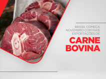 Brasil começa novembro com mais exportações de carne bovina
