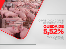 O preço da carne de porco teve queda de 5,52% nos últimos 12 meses