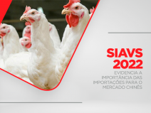 SIAVS 2022 evidência a importância das importações para o mercado chinês