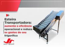 Esteira Transportadora: aumente a eficiência operacional e reduza os gastos do seu frigorífico