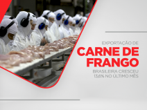 Exportação de carne de frango brasileira cresceu 13,6% no último mês