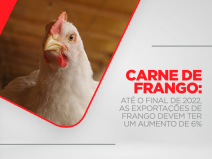 Carne de frango: até o final de 2022, as exportações de frango devem ter um aumento de 6%