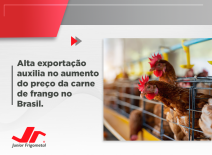 Alta exportação auxilia no aumento do preço da carne de frango no Brasil