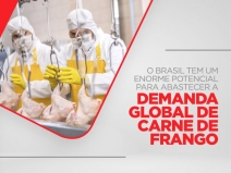 O Brasil tem um enorme potencial para abastecer a demanda global de carne de frango