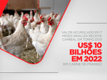 Valor acumulado em 7 meses sinaliza receita cambial em torno dos US$ 10 bilhões em 2022 em carne de frango
