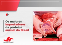 Os maiores importadores da proteína animal do Brasil