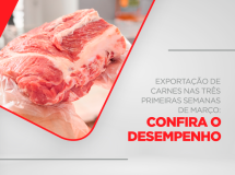 Exportação de carnes nas três primeiras semanas de março: confira o desempenho