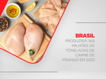 Brasil produzirá 14,8 milhões de toneladas de carne de frango em 2023