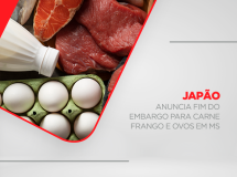 Japão anuncia fim do embargo para carne de frango e ovos em MS
