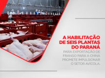 A habilitação de seis plantas do Paraná para exportação de frango para a China promete impulsionar o setor avícola.