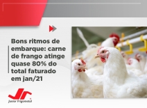 Bons ritmos de embarque: carne de frango atinge quase 80% do total faturado em jan/21
