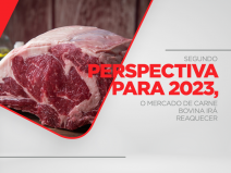 Segundo perspectiva para 2023, o mercado de carne bovina irá reaquecer