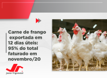 Carne de frango exportada em 12 dias úteis: 95% do total faturado em novembro/20