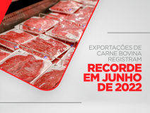 Exportações de carne bovina registram recorde em junho de 2022