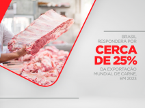 Brasil responderá por cerca de 25% da exportação mundial de carne, em 2023