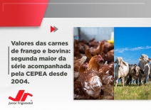 Valores das carnes de frango e bovina: segunda maior da série acompanhada pela CEPEA desde 2004