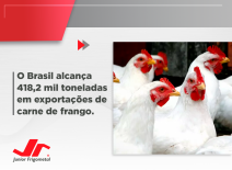 O Brasil alcança 418,2 mil toneladas em exportações de carne de frango